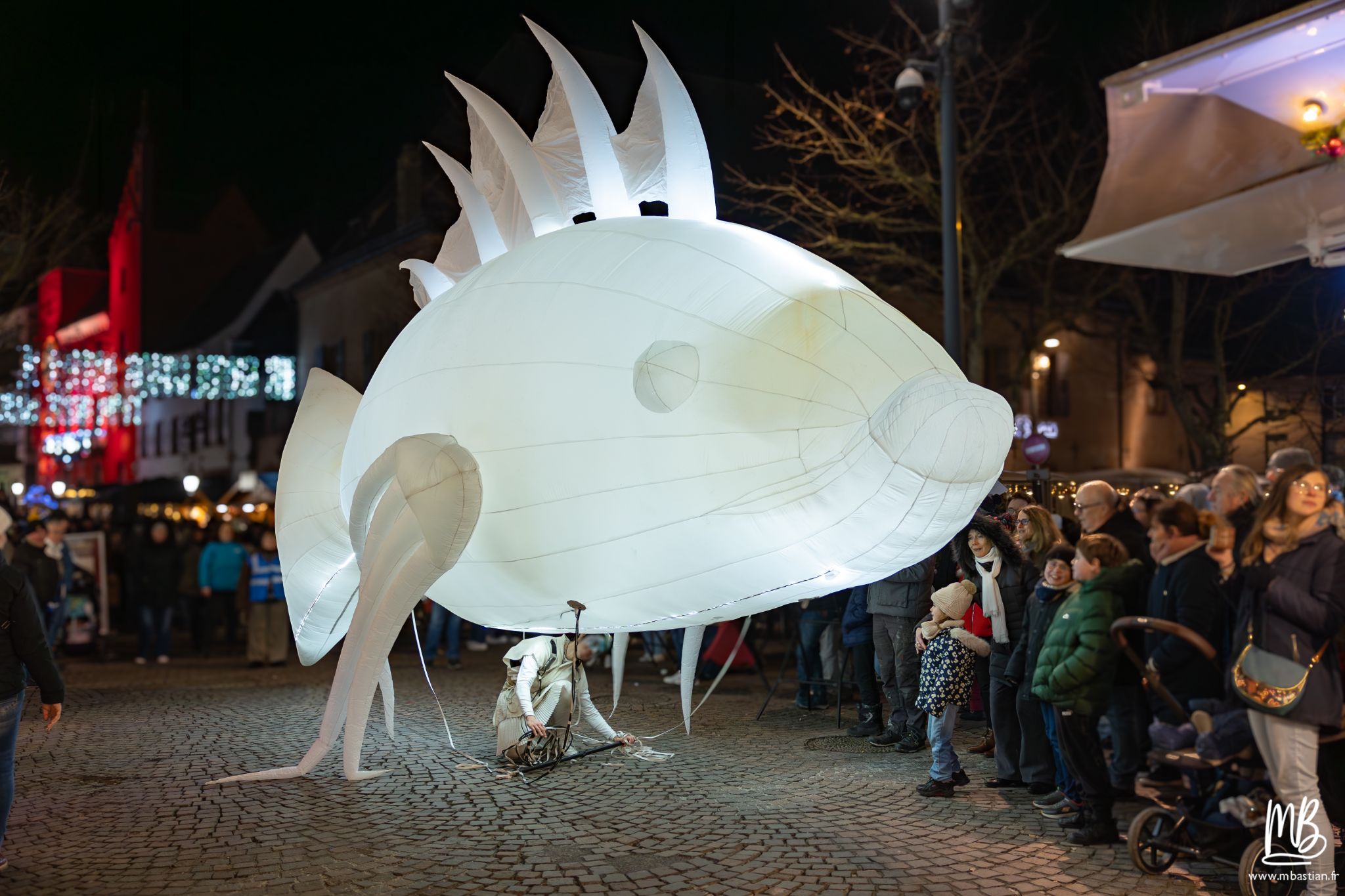 20251230 CIE REMUE MENAGE  MB 87